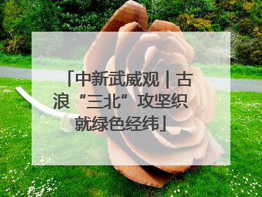 中新武威观｜古浪“三北”攻坚织就绿色经纬