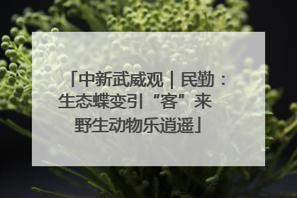 中新武威观｜民勤：生态蝶变引“客”来 野生动物乐逍遥