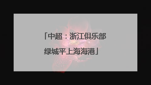 中超：浙江俱乐部绿城平上海海港