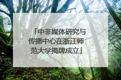 中非媒体研究与传播中心在浙江师范大学揭牌成立