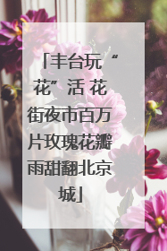 丰台玩“花”活 花街夜市百万片玫瑰花瓣雨甜翻北京城