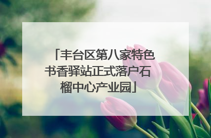 丰台区第八家特色书香驿站正式落户石榴中心产业园