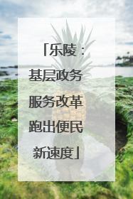 乐陵：基层政务服务改革跑出便民新速度