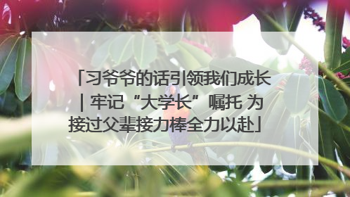 习爷爷的话引领我们成长｜牢记“大学长”嘱托 为接过父辈接力棒全力以赴