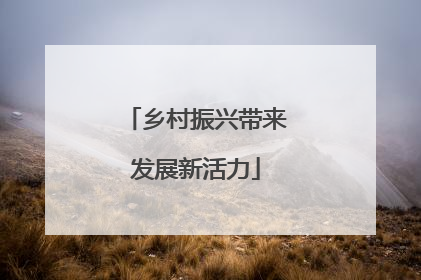 乡村振兴带来发展新活力