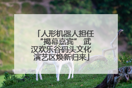 人形机器人担任“揭幕嘉宾” 武汉欢乐谷码头文化演艺区焕新归来