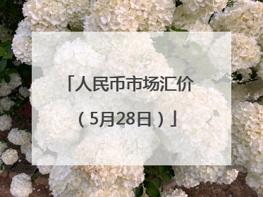 人民币市场汇价（5月28日）