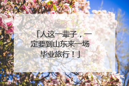 人这一辈子，一定要到山东来一场毕业旅行！