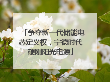 争夺新一代储能电芯定义权，宁德时代硬刚阳光电源