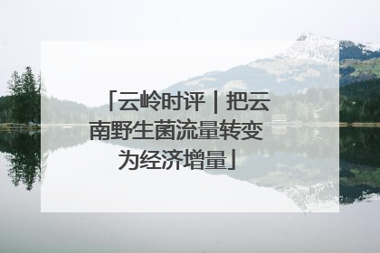 云岭时评｜把云南野生菌流量转变为经济增量