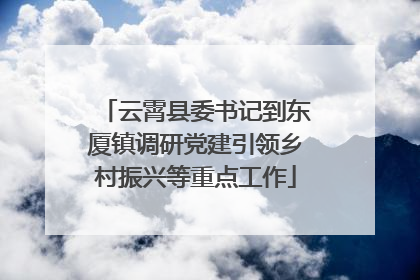 云霄县委书记到东厦镇调研党建引领乡村振兴等重点工作