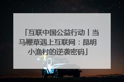 互联中国公益行动丨当马鞭草遇上互联网：昆明小渔村的逆袭密码