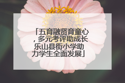 五育融贤育童心，多元考评助成长 乐山县街小学助力学生全面发展