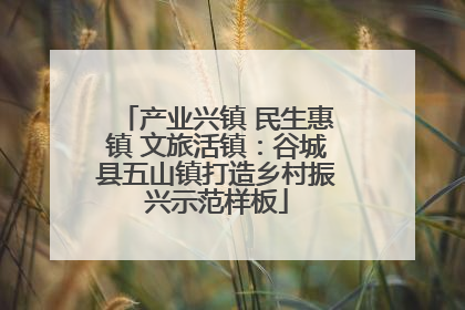 产业兴镇 民生惠镇 文旅活镇：谷城县五山镇打造乡村振兴示范样板