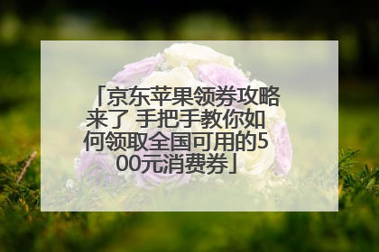 京东苹果领券攻略来了 手把手教你如何领取全国可用的500元消费券