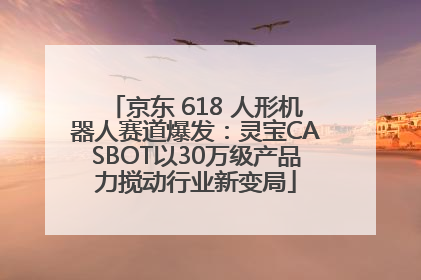 京东 618 人形机器人赛道爆发：灵宝CASBOT以30万级产品力搅动行业新变局