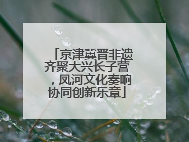 京津冀晋非遗齐聚大兴长子营，凤河文化奏响协同创新乐章