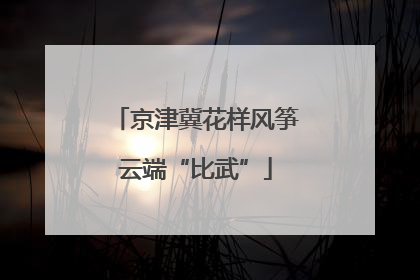 京津冀花样风筝云端“比武”