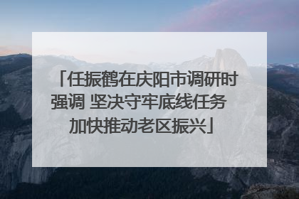 任振鹤在庆阳市调研时强调 坚决守牢底线任务 加快推动老区振兴
