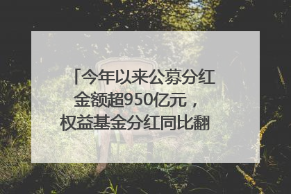 今年以来公募分红金额超950亿元，权益基金分红同比翻倍｜招财猫