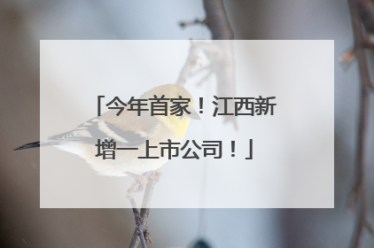 今年首家！江西新增一上市公司！