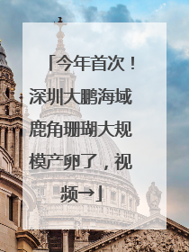 今年首次！深圳大鹏海域鹿角珊瑚大规模产卵了，视频→