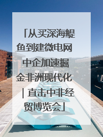 从买深海鳀鱼到建微电网 中企加速掘金非洲现代化｜直击中非经贸博览会
