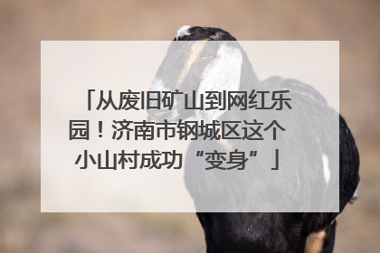 从废旧矿山到网红乐园！济南市钢城区这个小山村成功“变身”