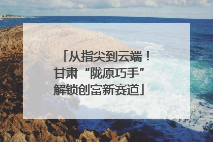 从指尖到云端！甘肃“陇原巧手”解锁创富新赛道