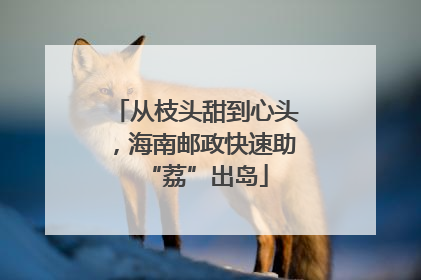 从枝头甜到心头，海南邮政快速助“荔”出岛