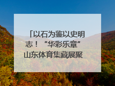 以石为鉴以史明志！“华彩乐章”山东体育集藏展聚焦“岱石丹心”