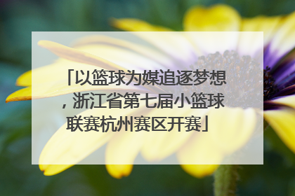 以篮球为媒追逐梦想，浙江省第七届小篮球联赛杭州赛区开赛