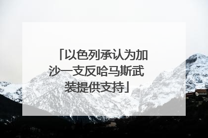 以色列承认为加沙一支反哈马斯武装提供支持