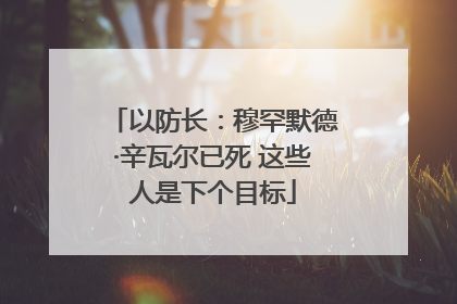 以防长：穆罕默德·辛瓦尔已死 这些人是下个目标