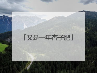 又是一年杏子肥