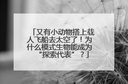又有小动物搭上载人飞船去太空了！为什么模式生物能成为“探索代表”？