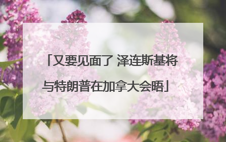 又要见面了 泽连斯基将与特朗普在加拿大会晤