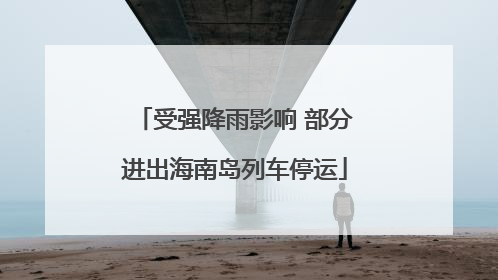 受强降雨影响 部分进出海南岛列车停运