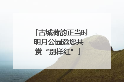 古城荷韵正当时 明月公园邀您共赏“别样红”
