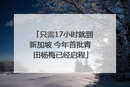 只需17小时就到新加坡 今年首批青田杨梅已经启程