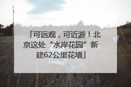 可远观，可近游！北京这处“水岸花园”新建62公里花墙