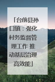 台前县孙口镇：强化村务监督管理工作 推动基层治理高效能