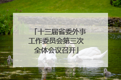 十三届省委外事工作委员会第三次全体会议召开