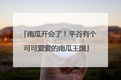 南瓜开会了！平谷有个可可爱爱的南瓜王国