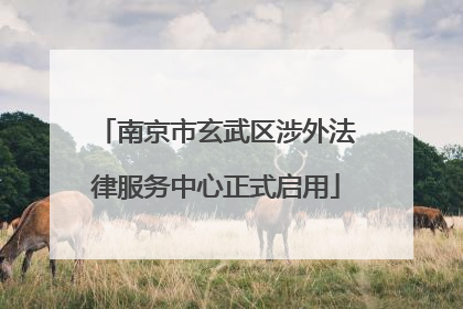 南京市玄武区涉外法律服务中心正式启用