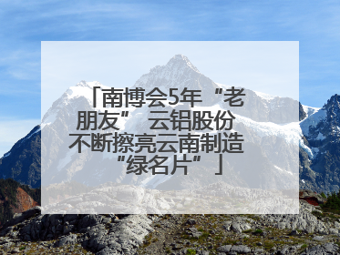 南博会5年“老朋友” 云铝股份不断擦亮云南制造“绿名片”
