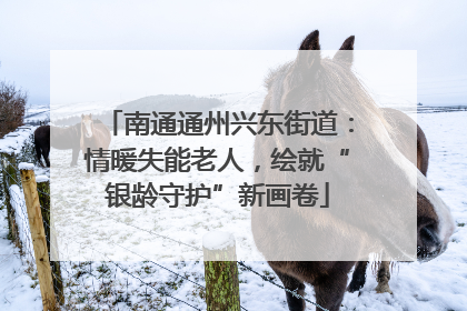 南通通州兴东街道：情暖失能老人，绘就“银龄守护”新画卷