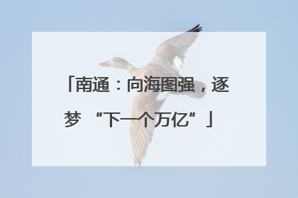 南通：向海图强，逐梦 “下一个万亿”
