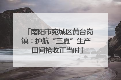 南阳市宛城区黄台岗镇：护航“三夏”生产 田间抢收正当时