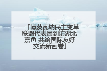 博茨瓦纳民主变革联盟代表团到访湖北嘉鱼 共绘国际友好交流新画卷